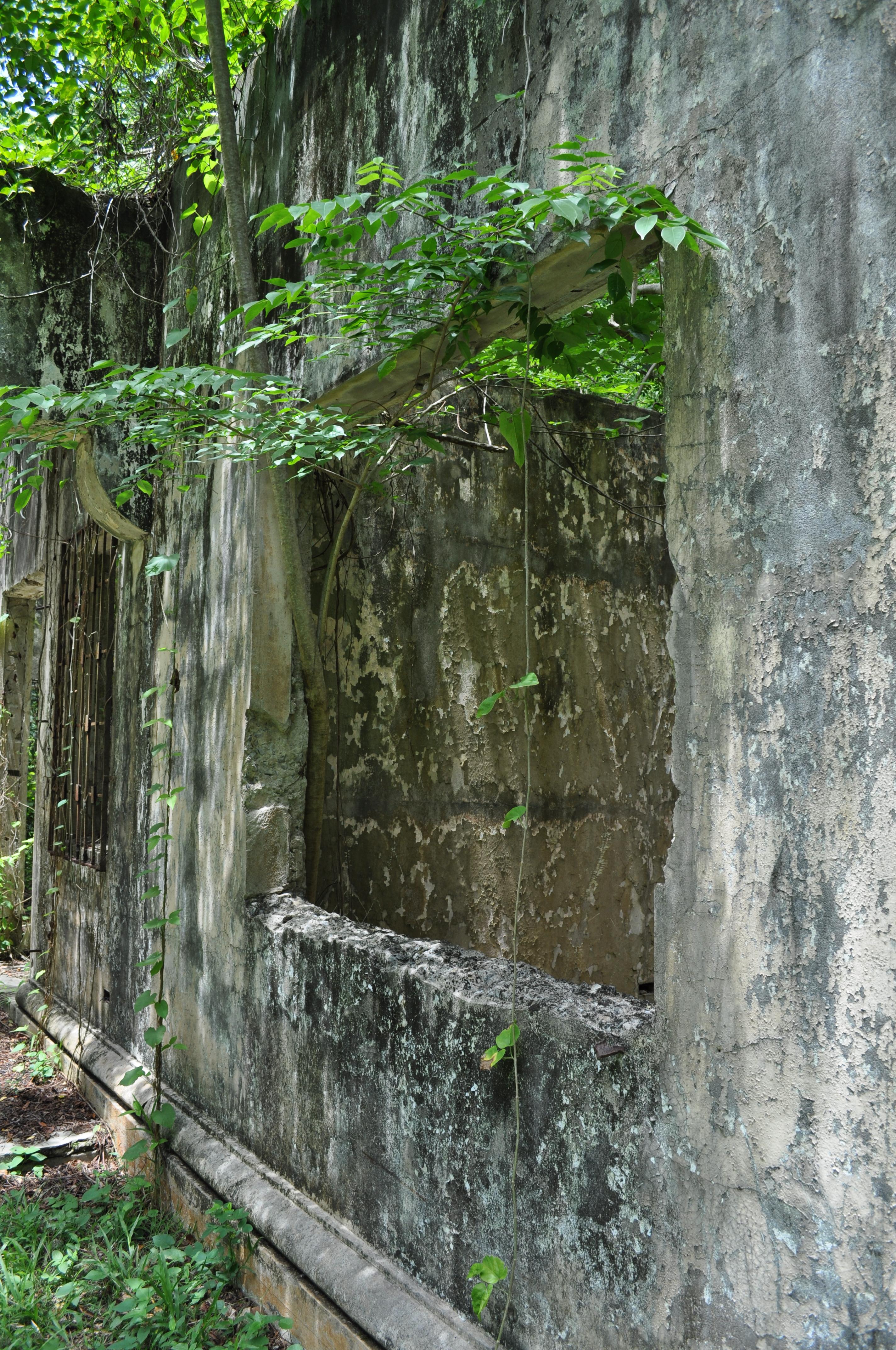 Antigua Lechería y Residencia de la Facultad de la Universidad de Puerto Rico - San Juan (Río Piedras) - 2015 00009